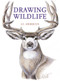 Drawing Wildlife by J.C. Amberlyn, 9780823023790