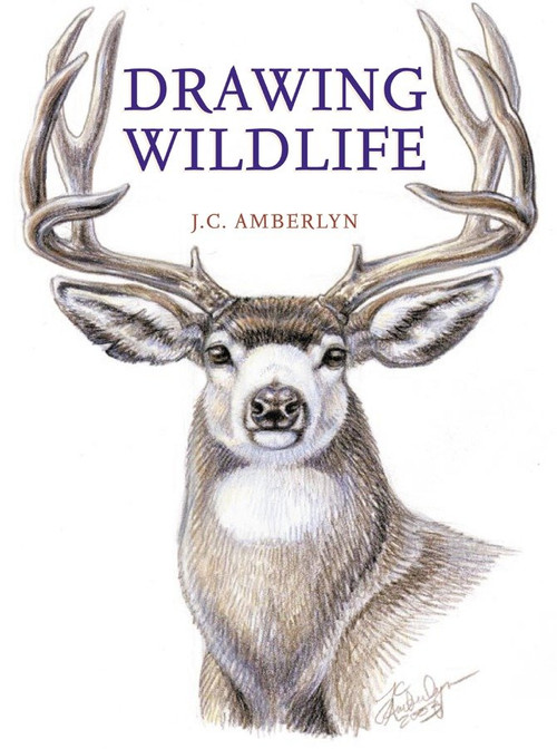 Drawing Wildlife by J.C. Amberlyn, 9780823023790