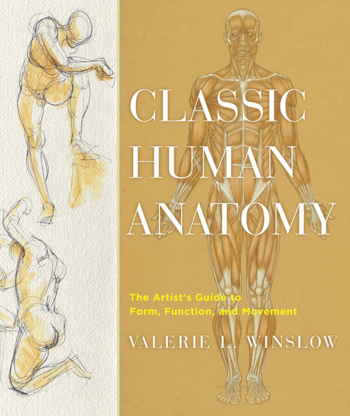 Classic Human Anatomy (The Artist's Guide to Form, Function, and Movement) by Valerie L. Winslow, 9780823024155