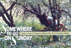 Somewhere to Go on Sunday by Margaret Wooster, 9780879756345