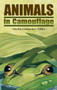 Animals in Camouflage by Phyllis Limbacher Tildes, Phyllis Limbacher Tildes, 9780881061345