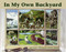 In My Own Backyard by Judi Kurjian, David R. Wagner, 9780881064445