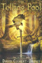 The Telling Pool - 9780810992573 by David Clement-Davies, 9780810992573