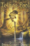 The Telling Pool - 9780810992573 by David Clement-Davies, 9780810992573