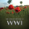 The Concise History of WWI by Pat Morgan, 9781909217355
