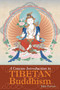 A Concise Introduction to Tibetan Buddhism by John Powers, 9781559392969