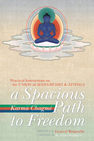 A Spacious Path to Freedom (Practical Instructions on the Union of Mahamudra and Atiyoga) by Karma Chagme, Gyatrul Rinpoche, 9781559393409