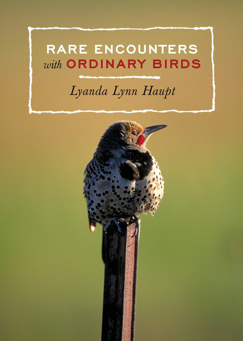 Rare Encounters with Ordinary Birds (A Bird Book for Adults) by Lyanda Lynn Haupt, 9781570614194