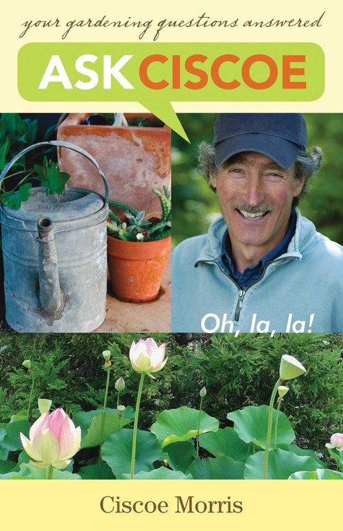 Ask Ciscoe (Oh, la, la! Your Gardening Questions Answered) by Ciscoe Morris, 9781570614323