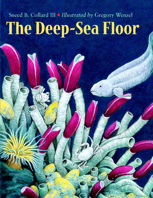 The Deep-Sea Floor by Sneed B. Collard III, Gregory Wenzel, 9781570914034