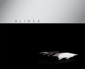 Alinea by Grant Achatz, Grant Achatz, 9781580089289
