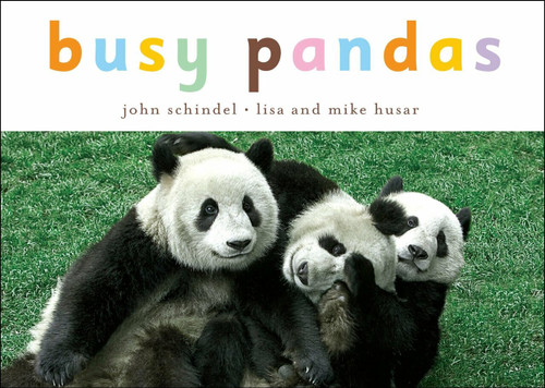 Busy Pandas (Miniature Edition) by John Schindel, Lisa Husar, Mike Husar, 9781582462592