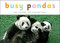 Busy Pandas (Miniature Edition) by John Schindel, Lisa Husar, Mike Husar, 9781582462592