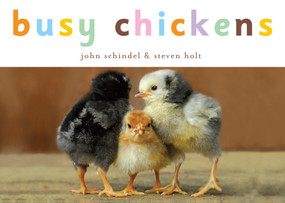 Busy Chickens by John Schindel, Steven Holt, 9781582462752
