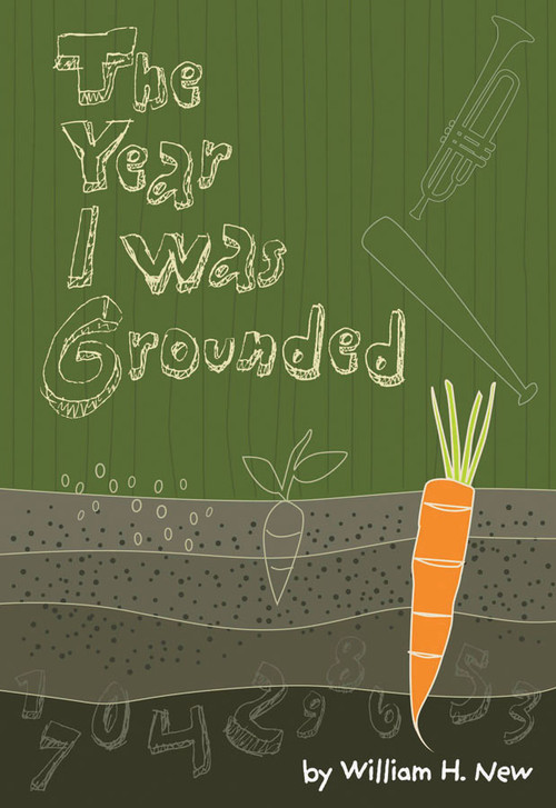The Year I was Grounded by William New, 9781896580357