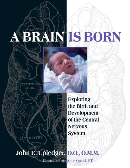 A Brain Is Born (Exploring the Birth and Development of the Central Nervous System) by John E. Upledger, 9781583943014