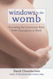 Windows to the Womb (Revealing the Conscious Baby from Conception to Birth) by David Chamberlain, 9781583945513