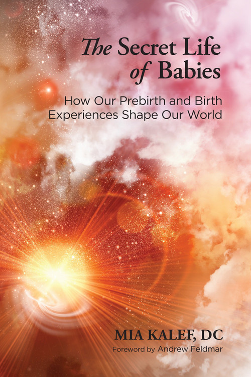 The Secret Life of Babies (How Our Prebirth and Birth Experiences Shape Our World) by Mia Kalef, DC, Andrew Feldmar, 9781583948033