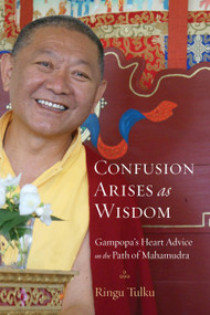 Confusion Arises as Wisdom (Gampopa's Heart Advice on the Path of Mahamudra) by Ringu Tulku, 9781590309957