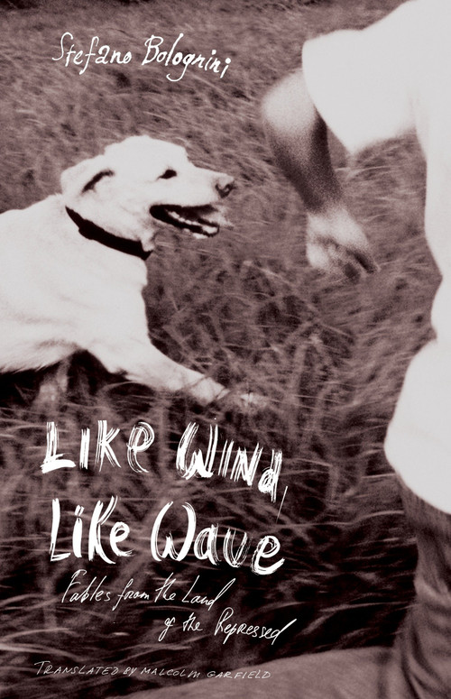Like Wind, Like Wave by Stefano Bolognini, 9781590511794