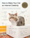 How to Make Your Cat an Internet Celebrity (A Guide to Financial Freedom) by Patricia Carlin, Dustin Fenstermacher, 9781594746796