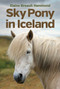 Sky Pony in Iceland by Elaine Breault Hammond, 9781927502464