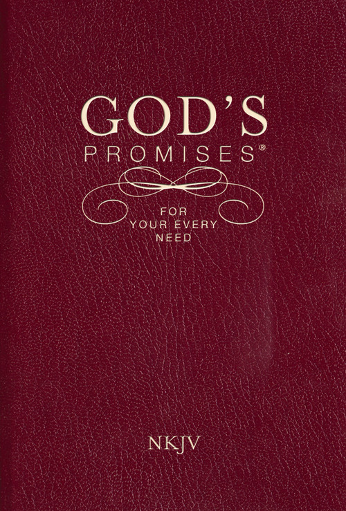 God's Promises for Your Every Need, NKJV (A Treasury of Scripture for Life) - 9781404186651 by A. Gill, Thomas Nelson, 9781404186651