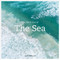 The Life & Love of the Sea (Photographs) by Lewis Blackwell, 9781419718625