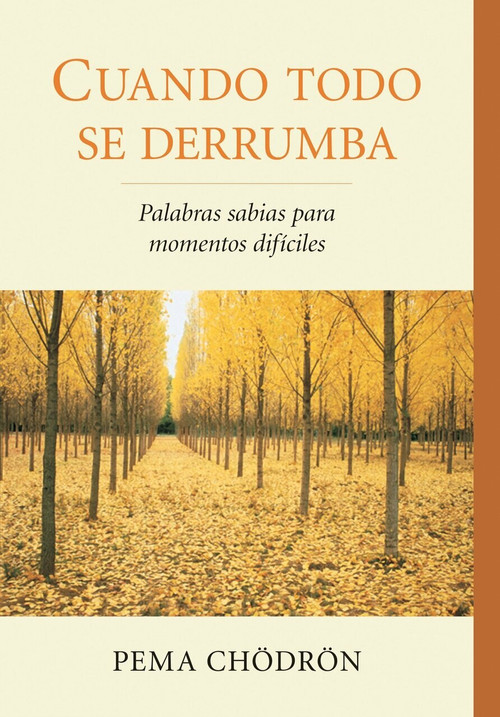 Cuando todo se derrumba (When Things Fall Apart) (Palabras sabias para momentos dificiles) by Pema Chodron, 9781611800241