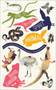 How to Find Your Spirit Animal (Connect with Your Animal Helper for Guidance, Strength and Healing) by David Carson, 9781780288178