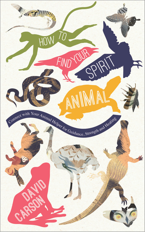 How to Find Your Spirit Animal (Connect with Your Animal Helper for Guidance, Strength and Healing) by David Carson, 9781780288178