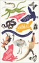 How to Find Your Spirit Animal (Connect with Your Animal Helper for Guidance, Strength and Healing) by David Carson, 9781780288178