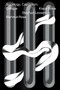 Sociology, Capitalism, Critique by Hartmut Rosa, Stephan Lessenich, Klaus Dörre, Jan-Peter Herrmann, Loren Balhorn, 9781781689325