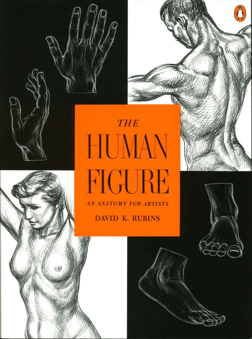 The Human Figure (An Anatomy for Artists) by David K. Rubins, 9780140042436
