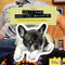 Don't Fart When You Snuggle (Lessons on How to Make a Human Smile) by From Frank, 9781452141770