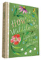 How to Be a Wildflower (A Field Guide (Nature Journals, Wildflower Books, Motivational Books, Creativity Books)) by Katie Daisy, 9781452142685