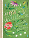 How to Be a Wildflower (A Field Guide (Nature Journals, Wildflower Books, Motivational Books, Creativity Books)) by Katie Daisy, 9781452142685