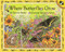 Where Butterflies Grow by Joanne Ryder, Lynne Cherry, 9780140558586