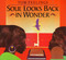 Soul Looks Back in Wonder by Various, Tom Feelings, Tom Feelings, 9780140565010