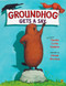 Groundhog Gets a Say by Pamela C. Swallow, Denise Bunkus, 9780142408964