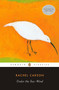 Under the Sea-Wind by Rachel L. Carson, Linda Lear, 9780143104964