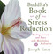 Buddha's Book of Stress Reduction (Finding Serenity and Peace with Mindfulness Meditation) by Joseph Emet, Thich Nhat Hanh, 9780399167331
