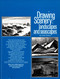 Drawing Scenery: Seascapes and Landscapes (Seascapes Landscapes) by Jack Hamm, 9780399508066