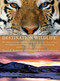 Destination Wildlife (An International Site-by-Site Guide to the Best Places to Experience Endangered, Rare, and Fascinating Animals and Their Habitats) by Pamela K. Brodowsky, National Wildlife Federation, 9780399534867