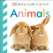 Baby Touch and Feel Animals by DK, 9780756634681