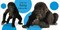 Touch and Feel Baby Animals by DK, 9780756689919