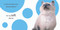 Touch and Feel: Kitten by DK, 9780756691653