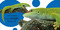Touch and Feel: Wild Animals by DK, 9780756698034
