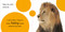 Touch and Feel: Wild Animals by DK, 9780756698034