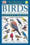 Handbooks: Birds of North America: East (The Most Accessible Recognition Guide) by Fred J. Alsop, III, Smithsonian Institution, 9780789471567